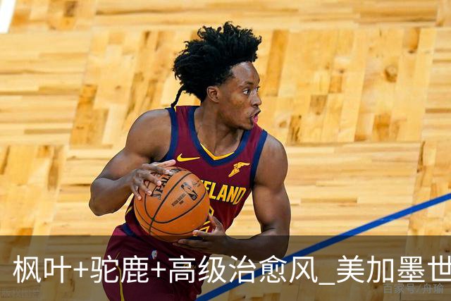 枫叶+驼鹿+高级治愈风 美加墨世界杯加拿大赛区开幕